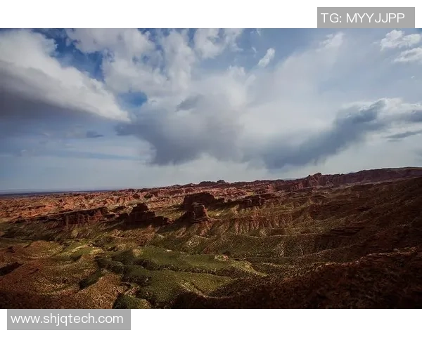 北京排球队的拼搏历程与辉煌成就全景纪实