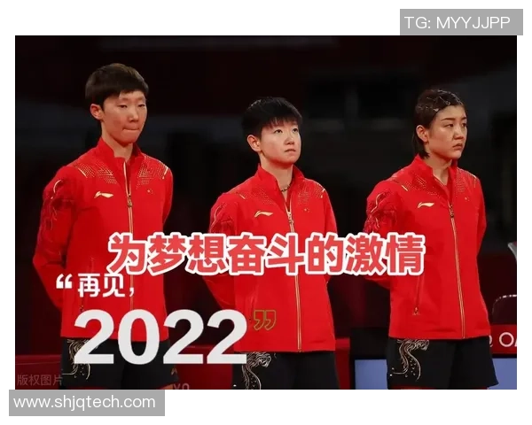 南京排球队的成长之路：城市联赛中的拼搏与梦想