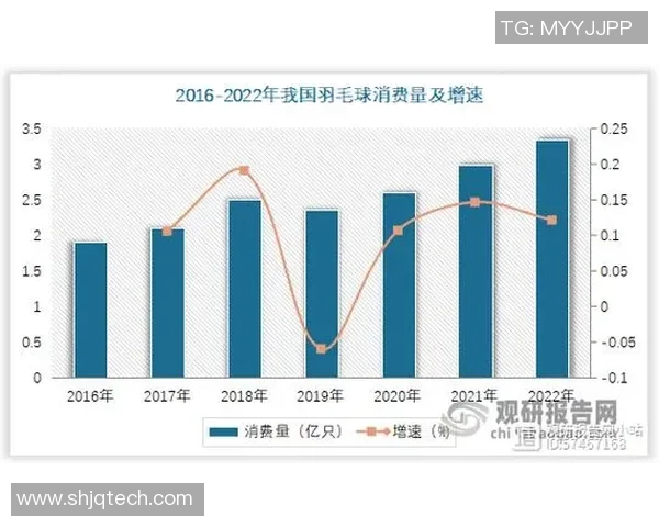 成都羽毛球队个人能力深度对比与分析揭示选手潜力与发展方向 成都羽毛球队个人能力深度对比与分析揭示选手潜力与发展方向