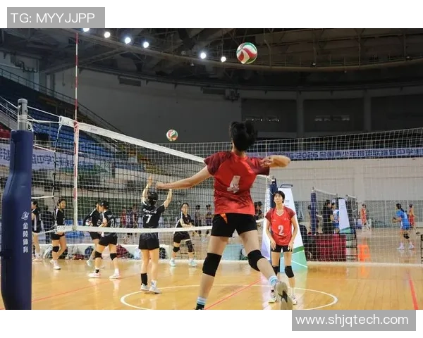 深圳排球队战术揭秘：排球巨献背后的团队智慧与竞技魅力