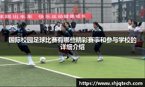 mk体育