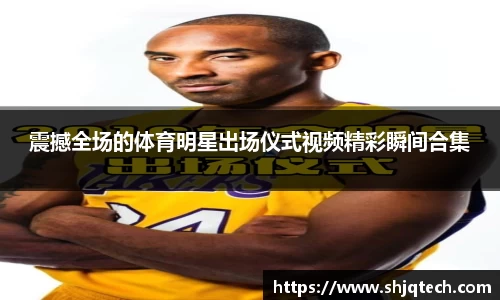 mk体育在线官网