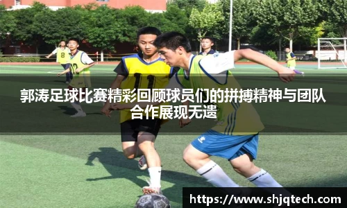 mksports体育