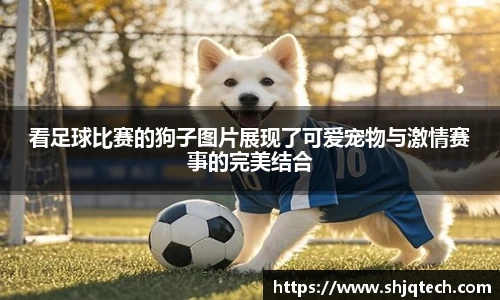 mksports体育