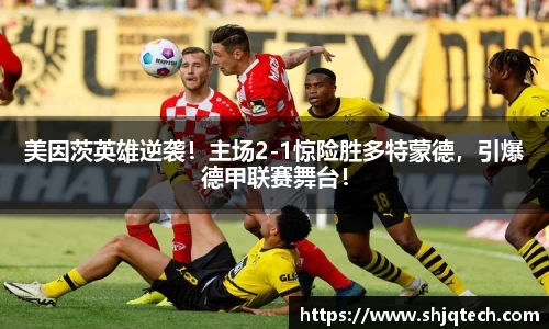mk体育在线官网