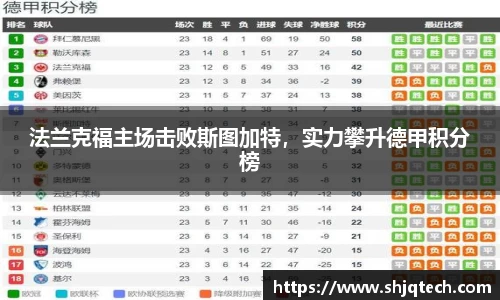 mk体育