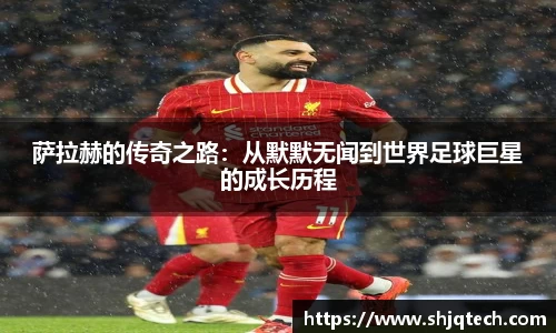 mk体育在线官网