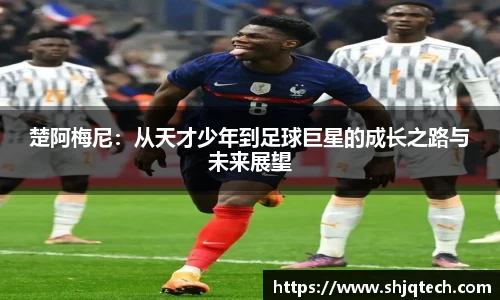 mksport体育