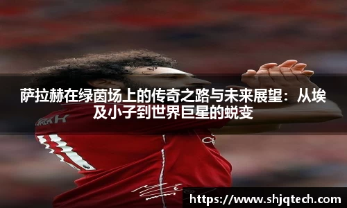 mksports体育