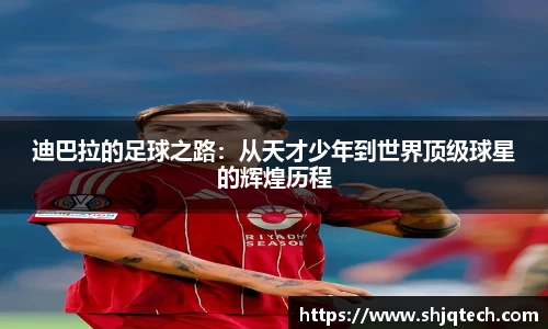 mksports体育