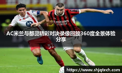 mk体育在线官网