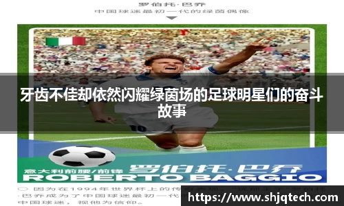 mksport体育