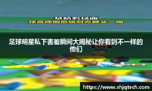 mksport体育