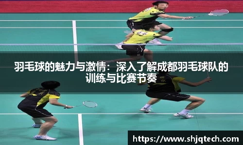 mksport体育