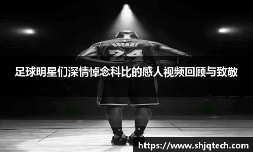 mk体育